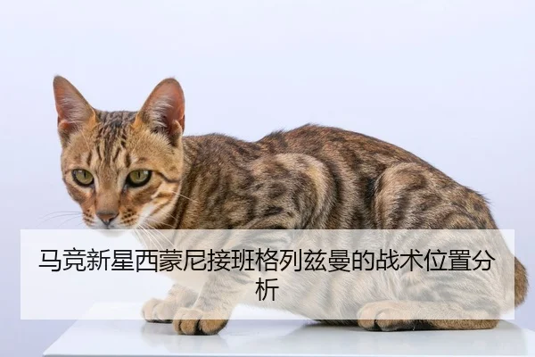 ma-jing-xin-xing-xi-meng-ni-jie-ban-ge-lie-zi-man-de-zhan-shu-wei-zhi-fen-xi-2-897.jpg
